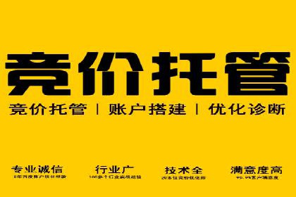 百度推广服务费案例：揭秘大品牌推广成功秘诀